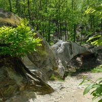Natura