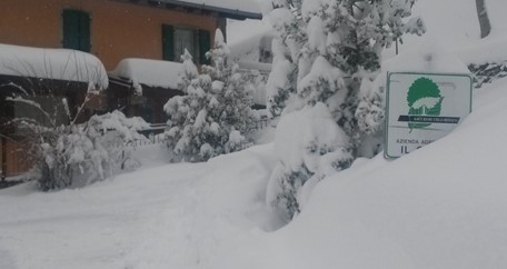 Urlaub auf dem Bauernhof  Agriturismo il Cerro